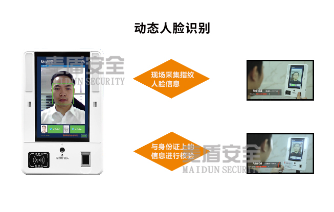 精准四不像特肖图