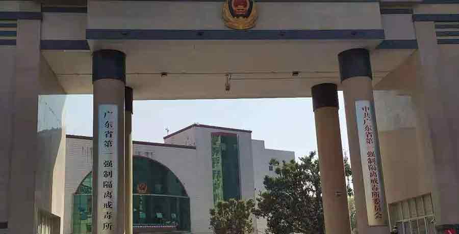 精准四不像特肖图